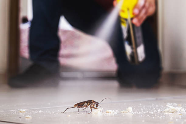 Best Pest Removal Services  in Grosse Pointe Farms, MI