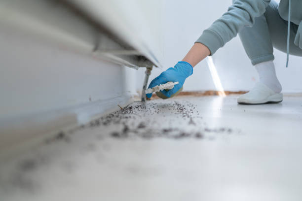 Reliable Grosse Pointe Farms, MI Pest Control Solutions